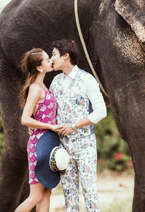 泰国-大象的见证