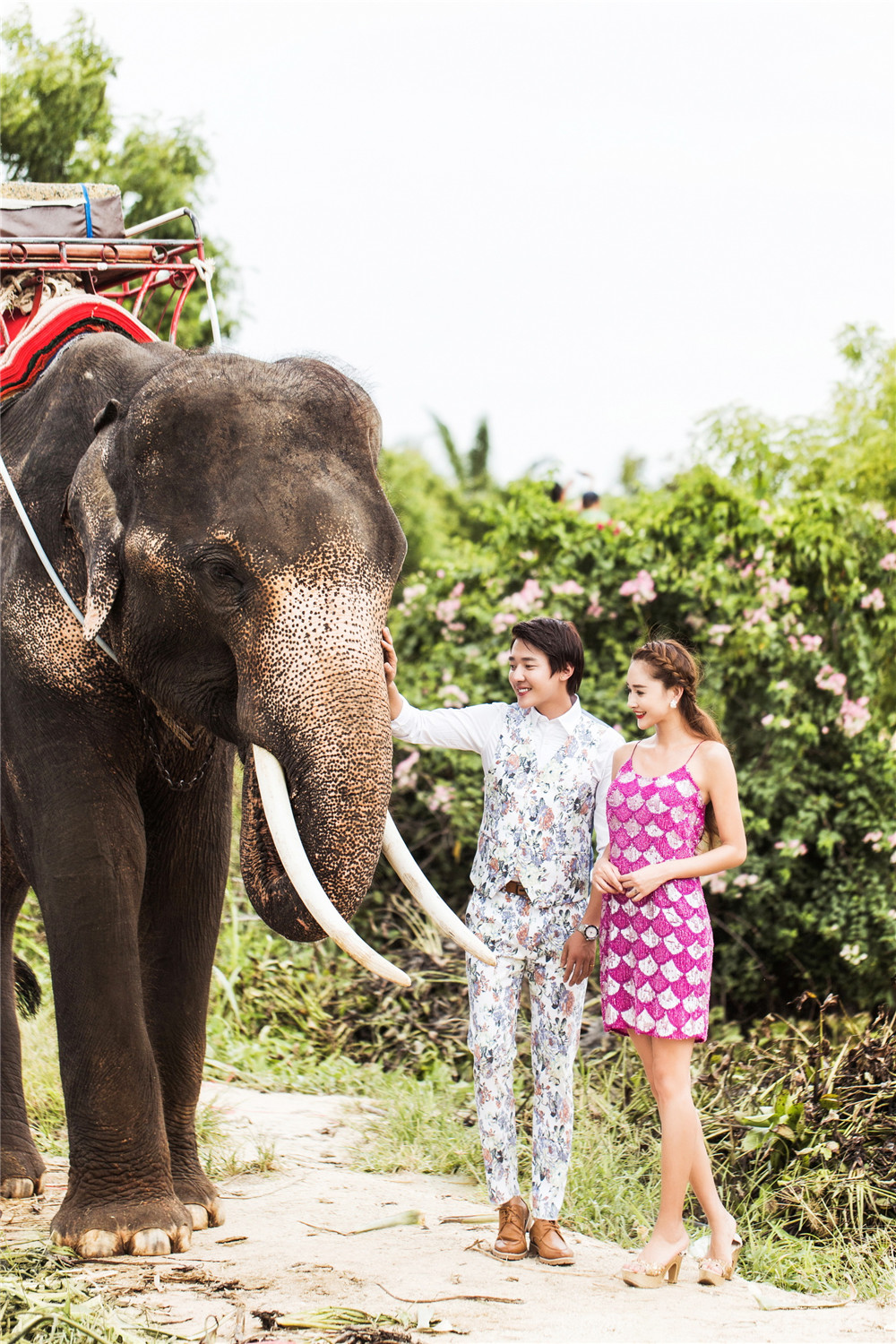 泰国-大象的见证-图片1